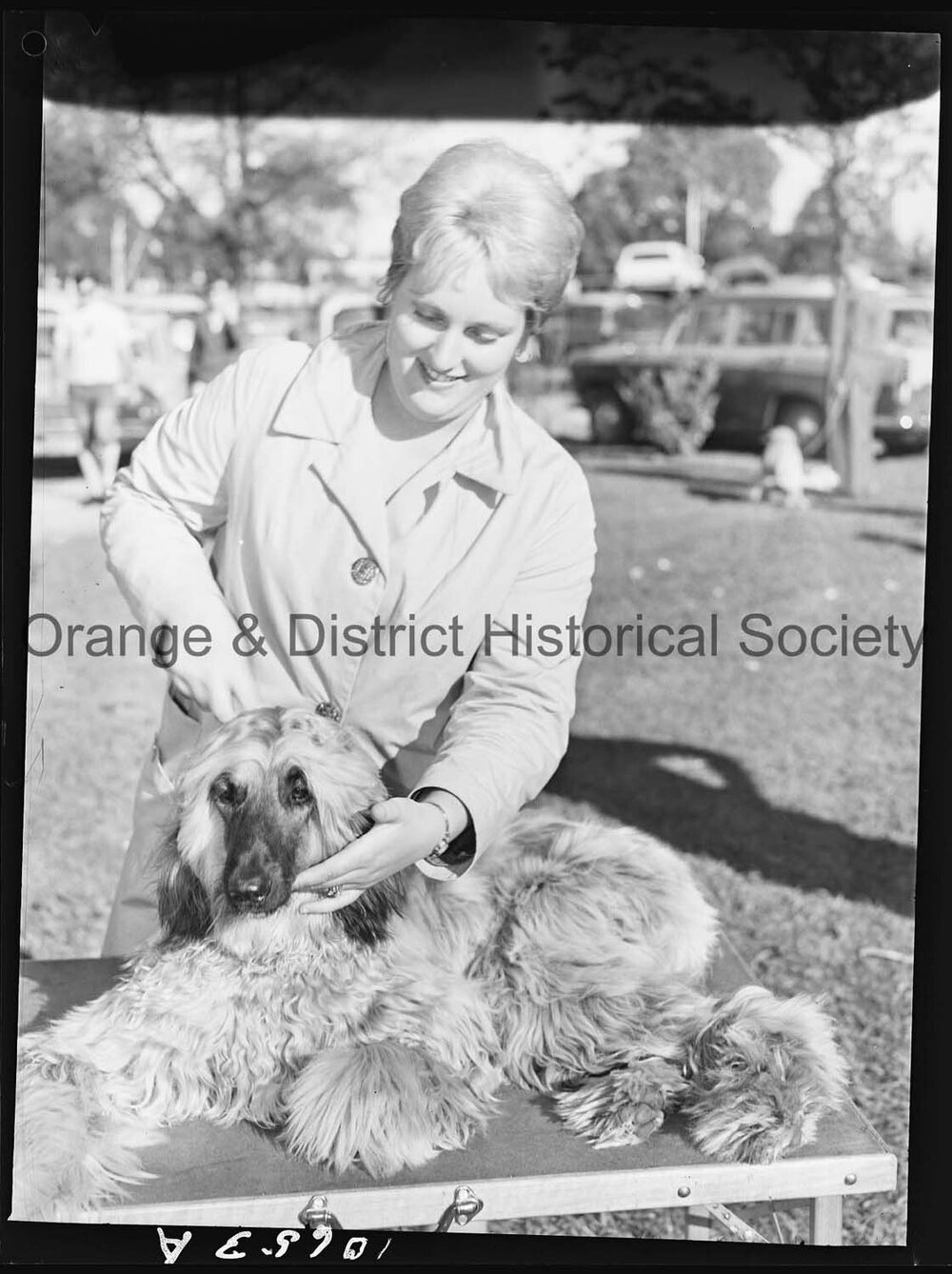 Kennel Club dog show