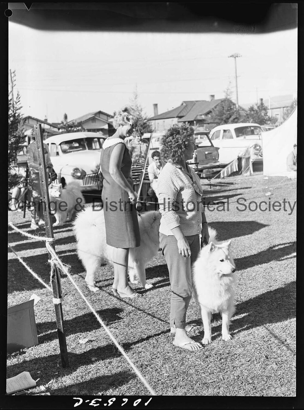 Kennel Club dog show