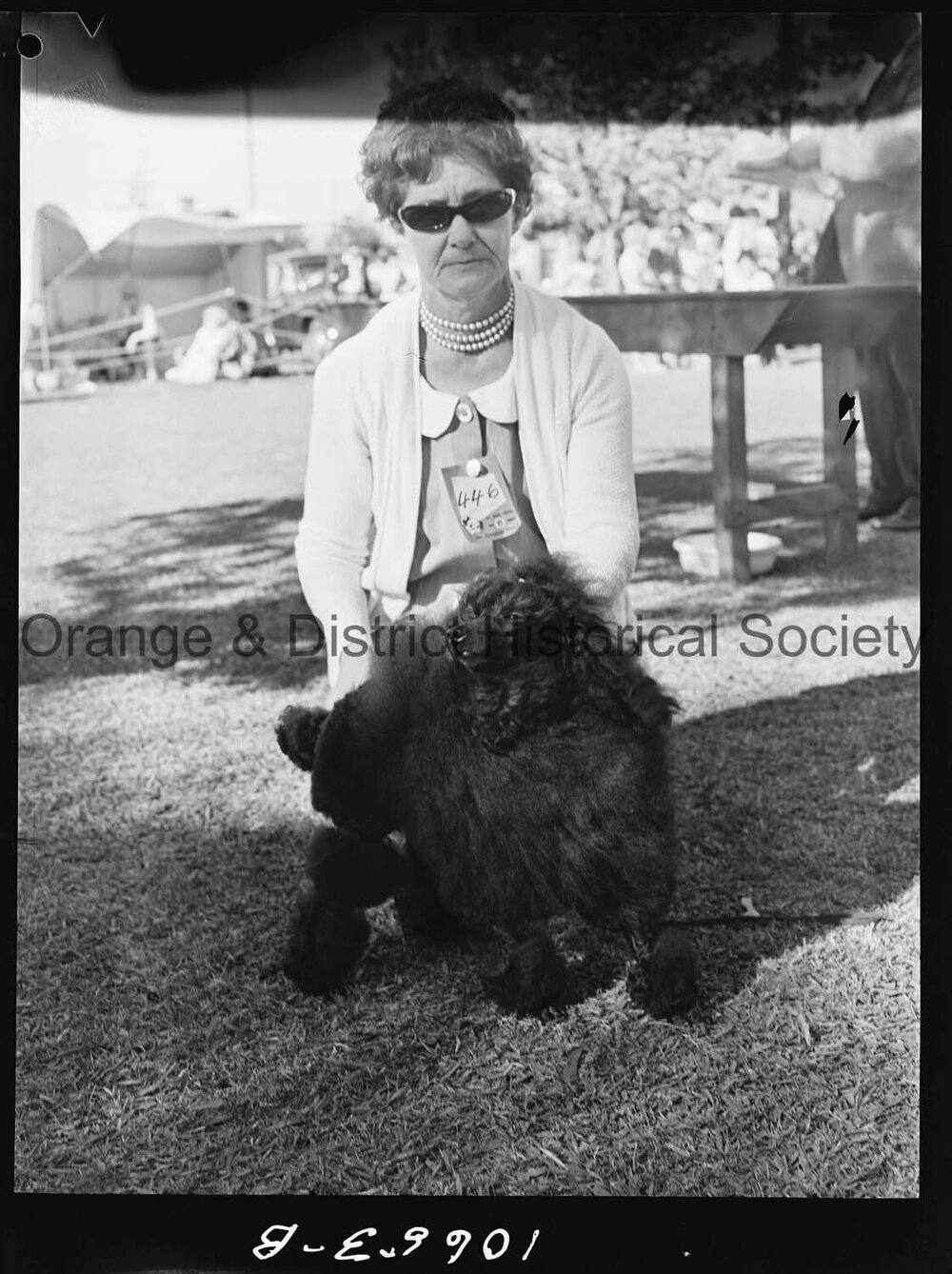 Kennel Club dog show