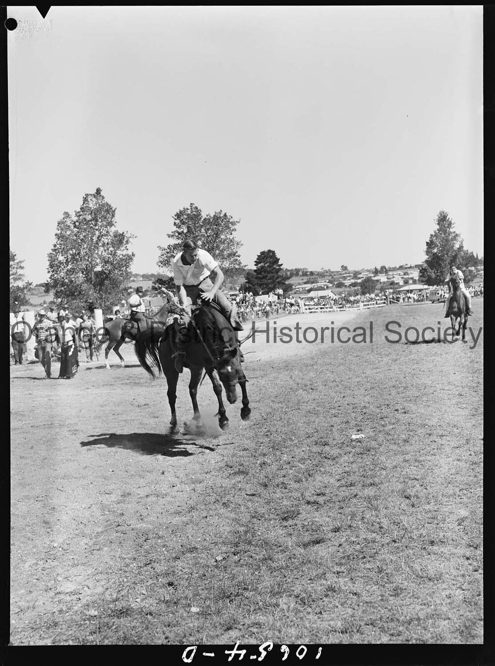 Bushman's Carnival
