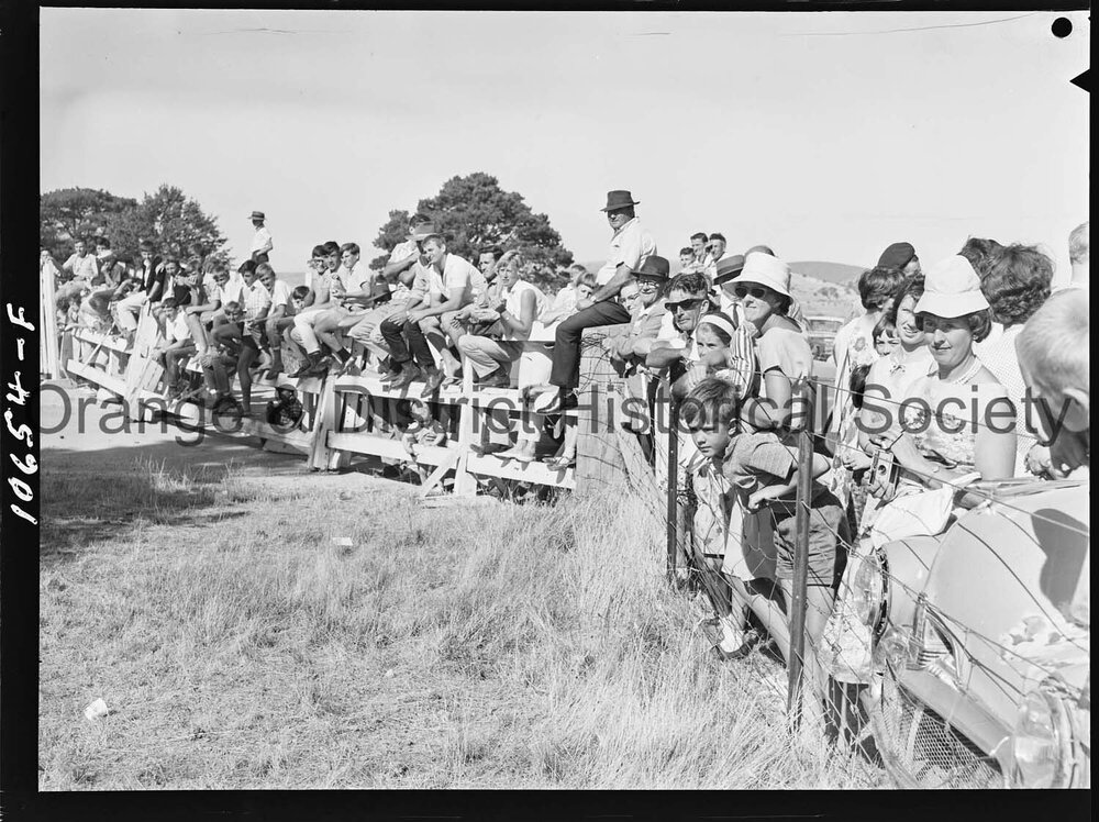 Bushman's Carnival