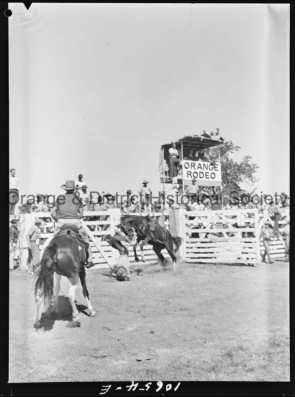Bushman's Carnival