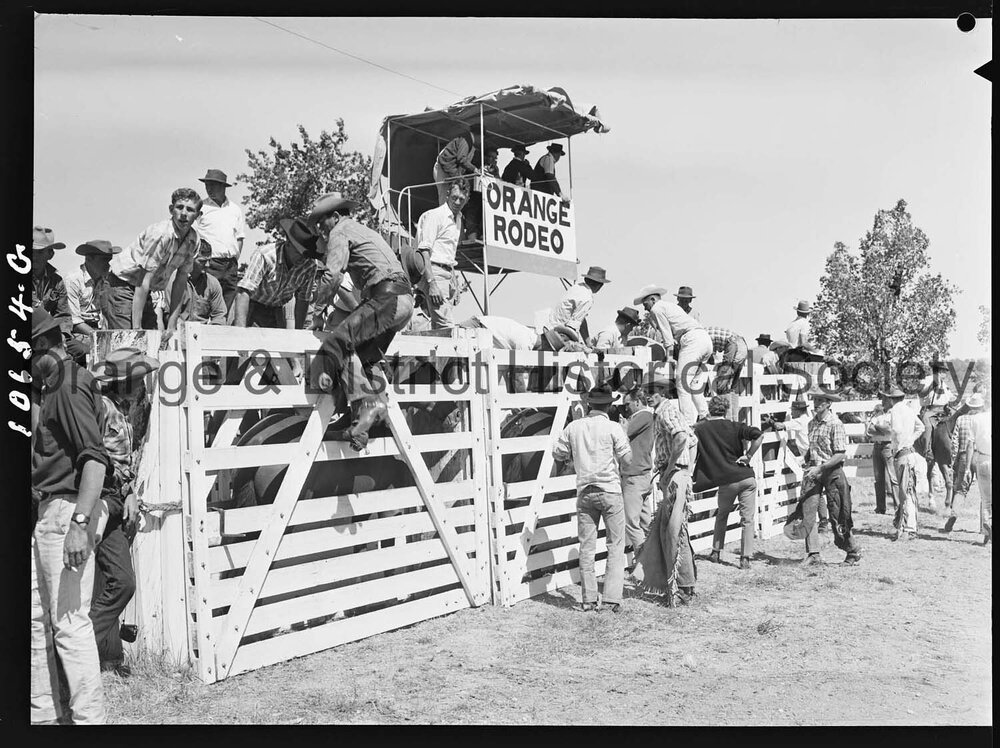 Bushman's Carnival