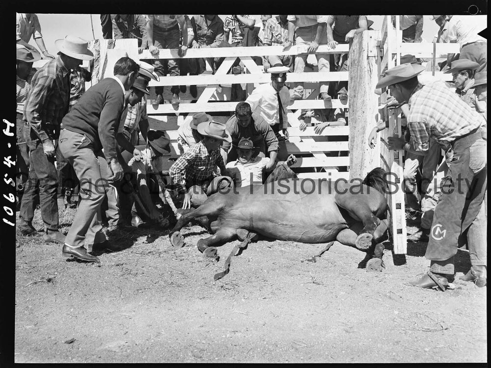 Bushman's Carnival