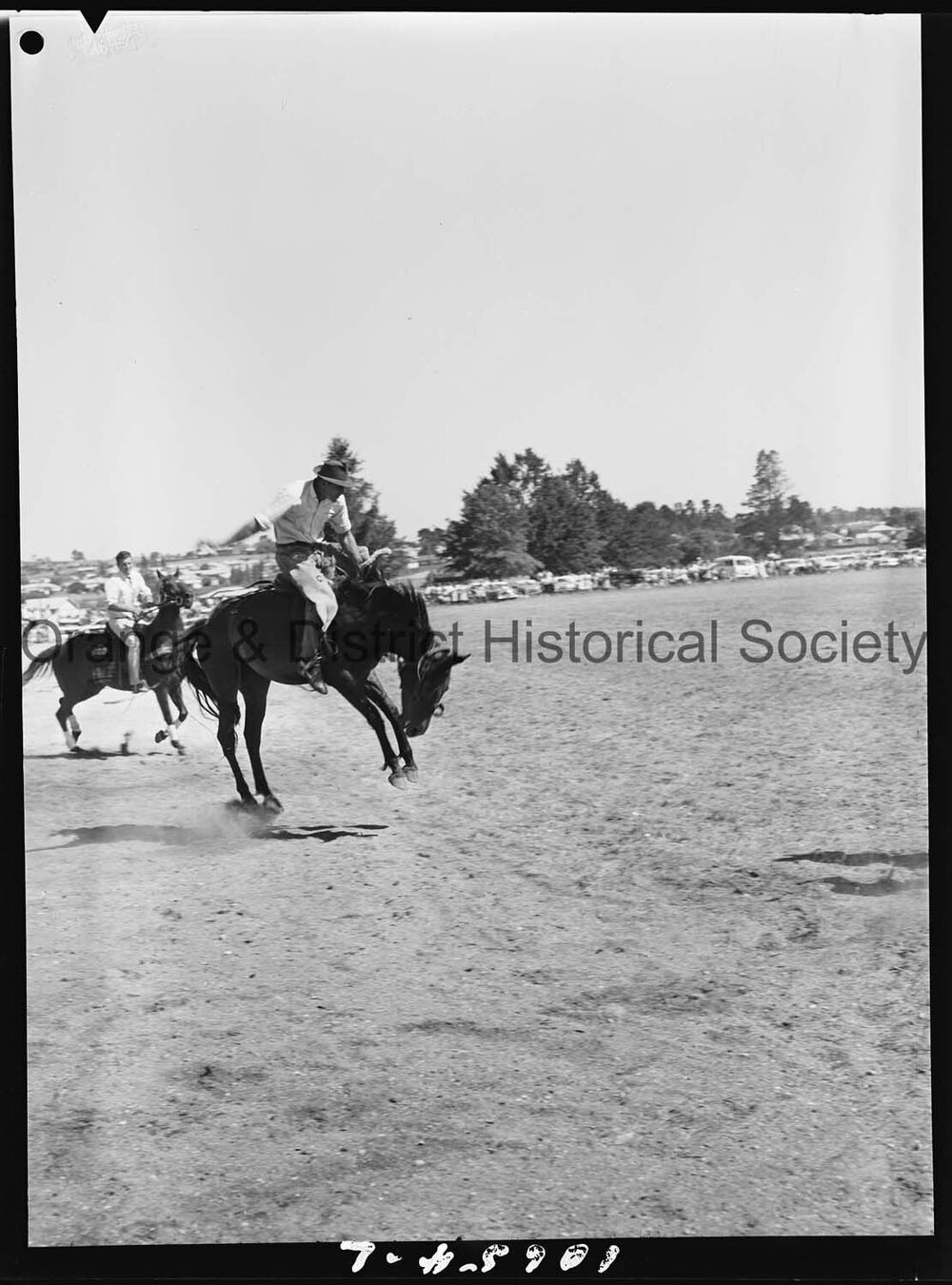 Bushman's Carnival