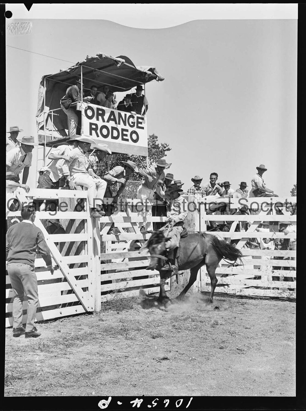 Bushman's Carnival