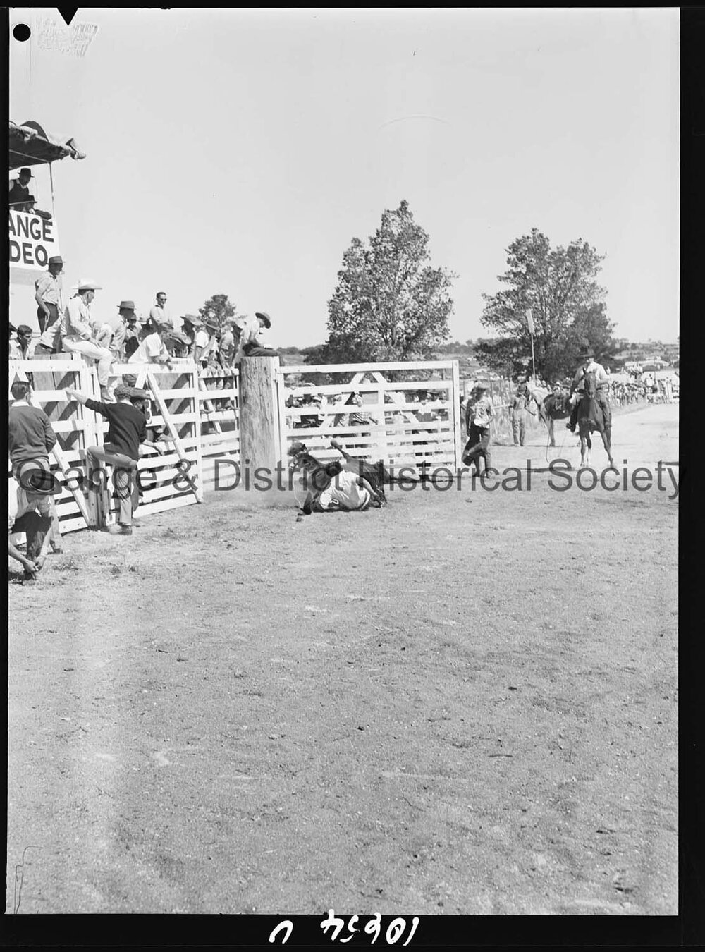 Bushman's Carnival