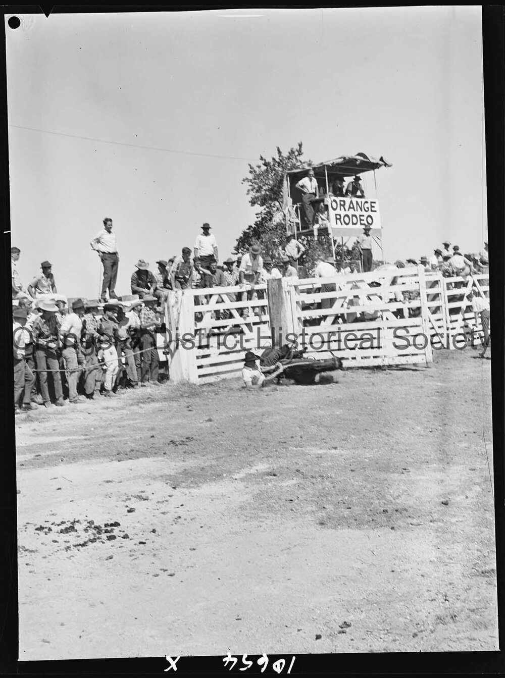 Bushman's Carnival