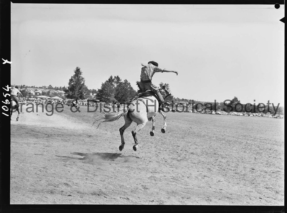 Bushman's Carnival