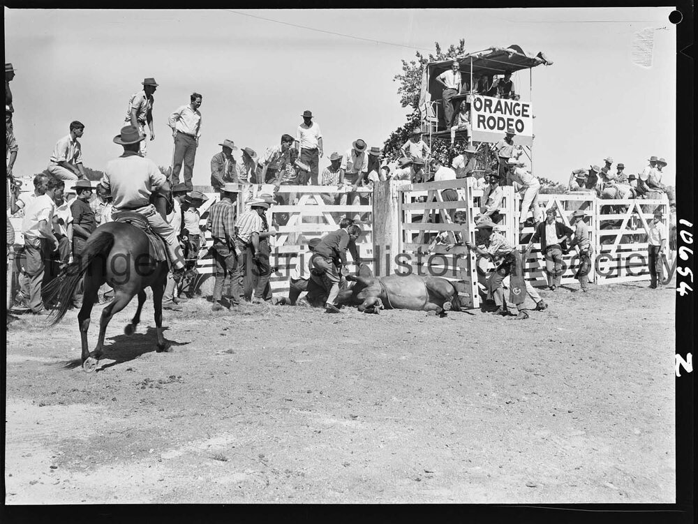 Bushman's Carnival