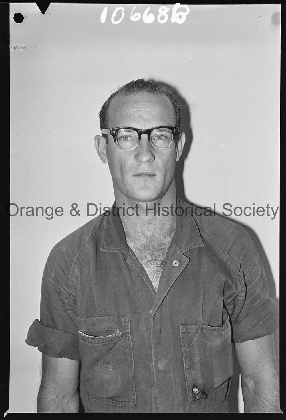 Passport photo Peter Shavell