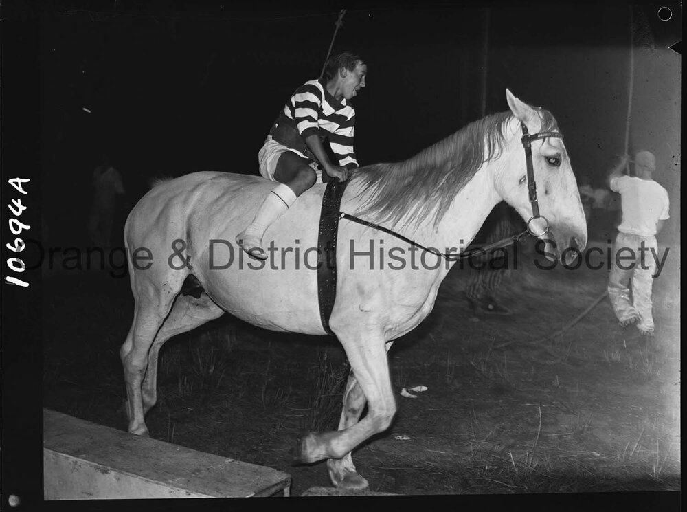 Trick riding at the circus