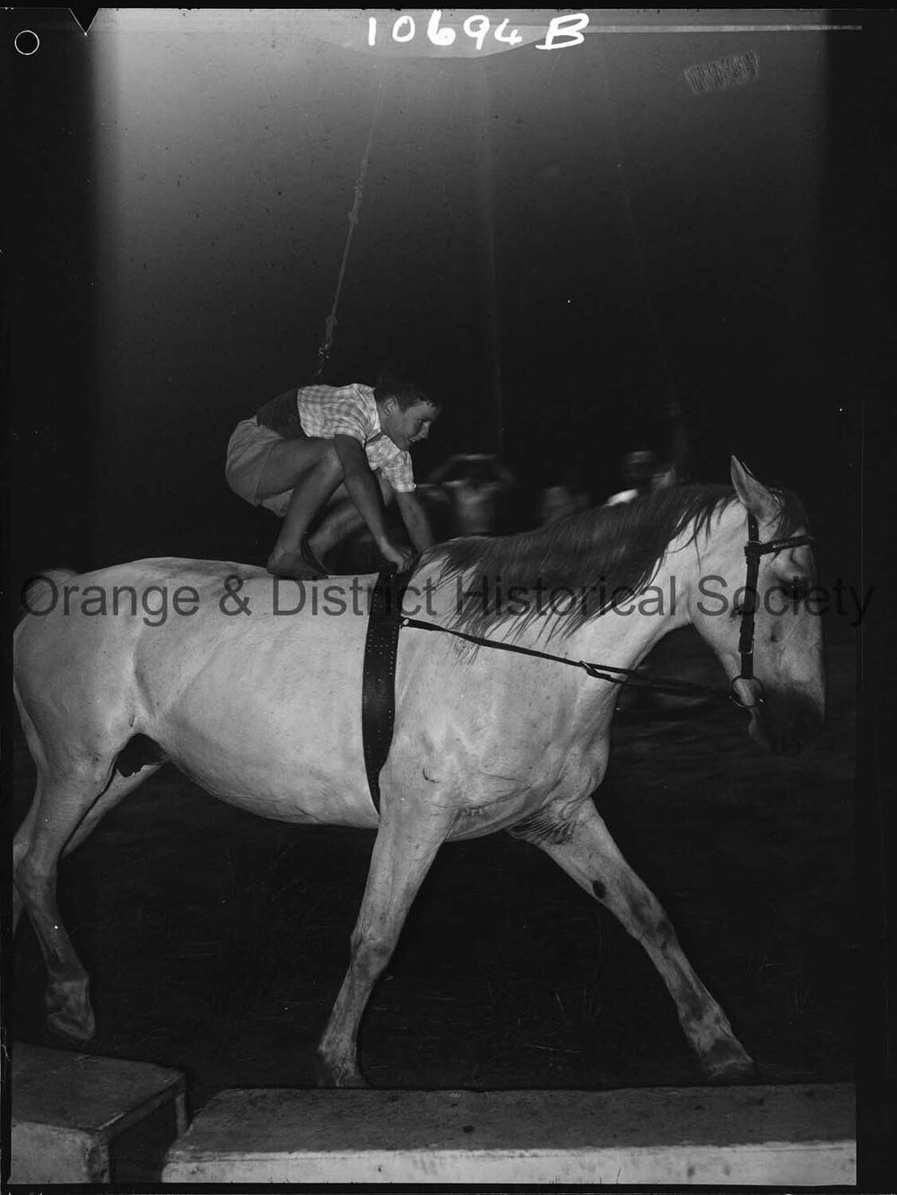 Trick riding at the circus