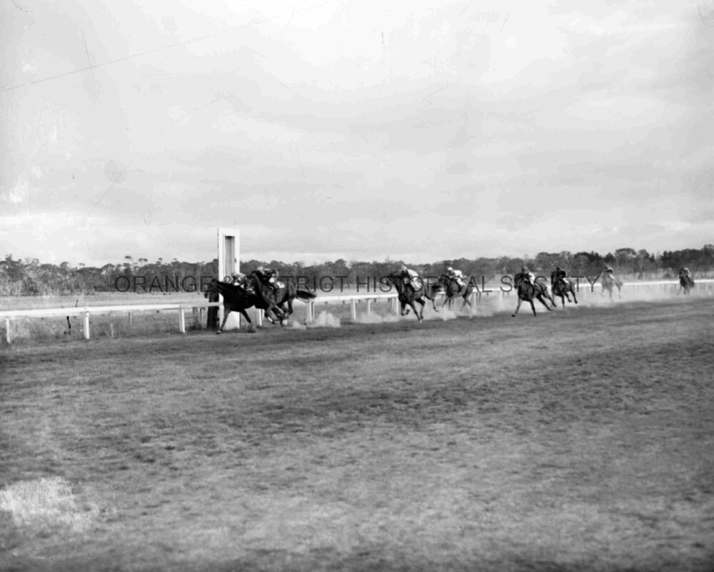 Orange race finishes
