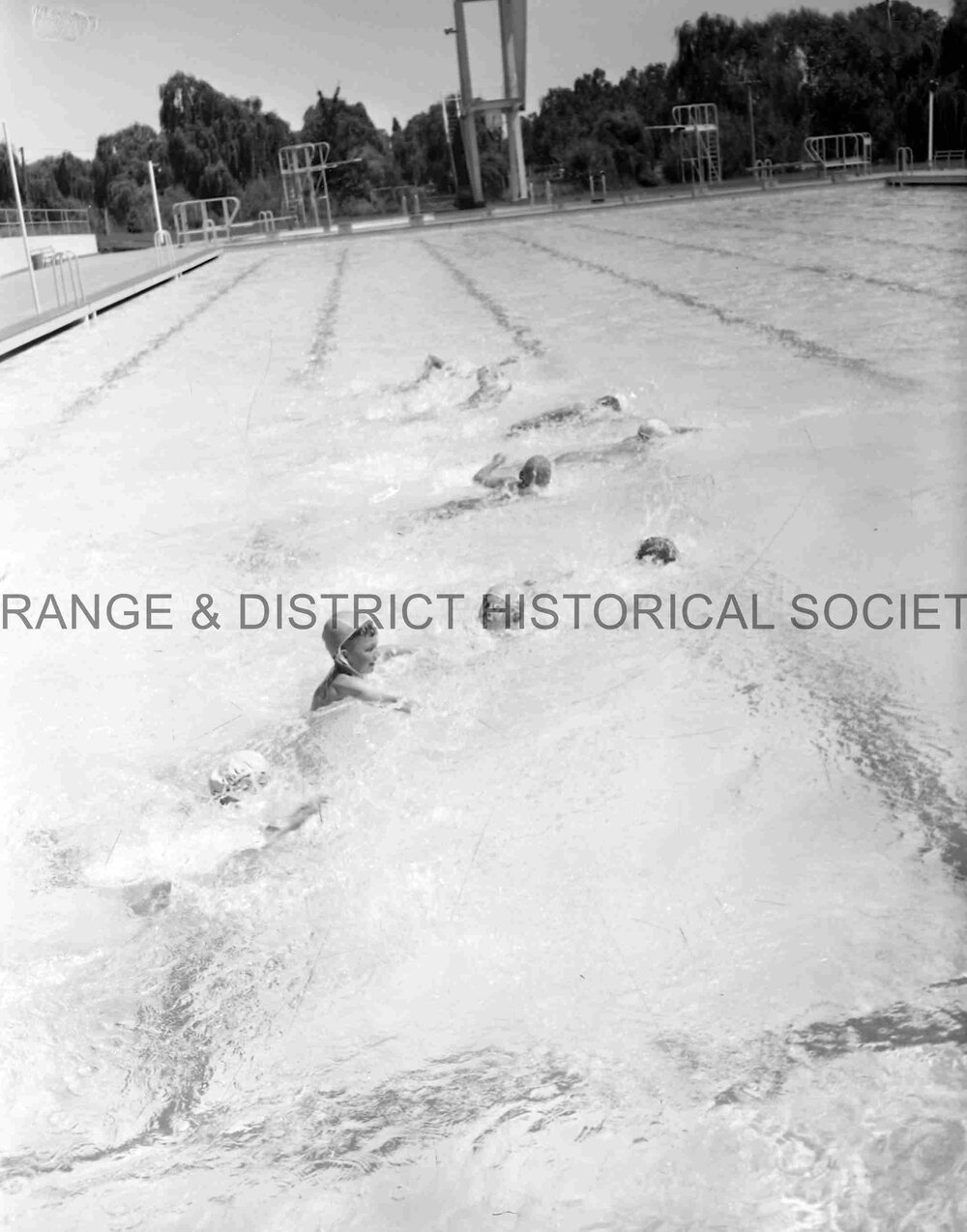 De La Salle swimming carnival