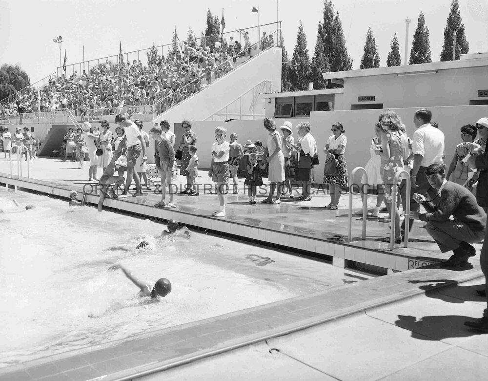 De La Salle swimming carnival