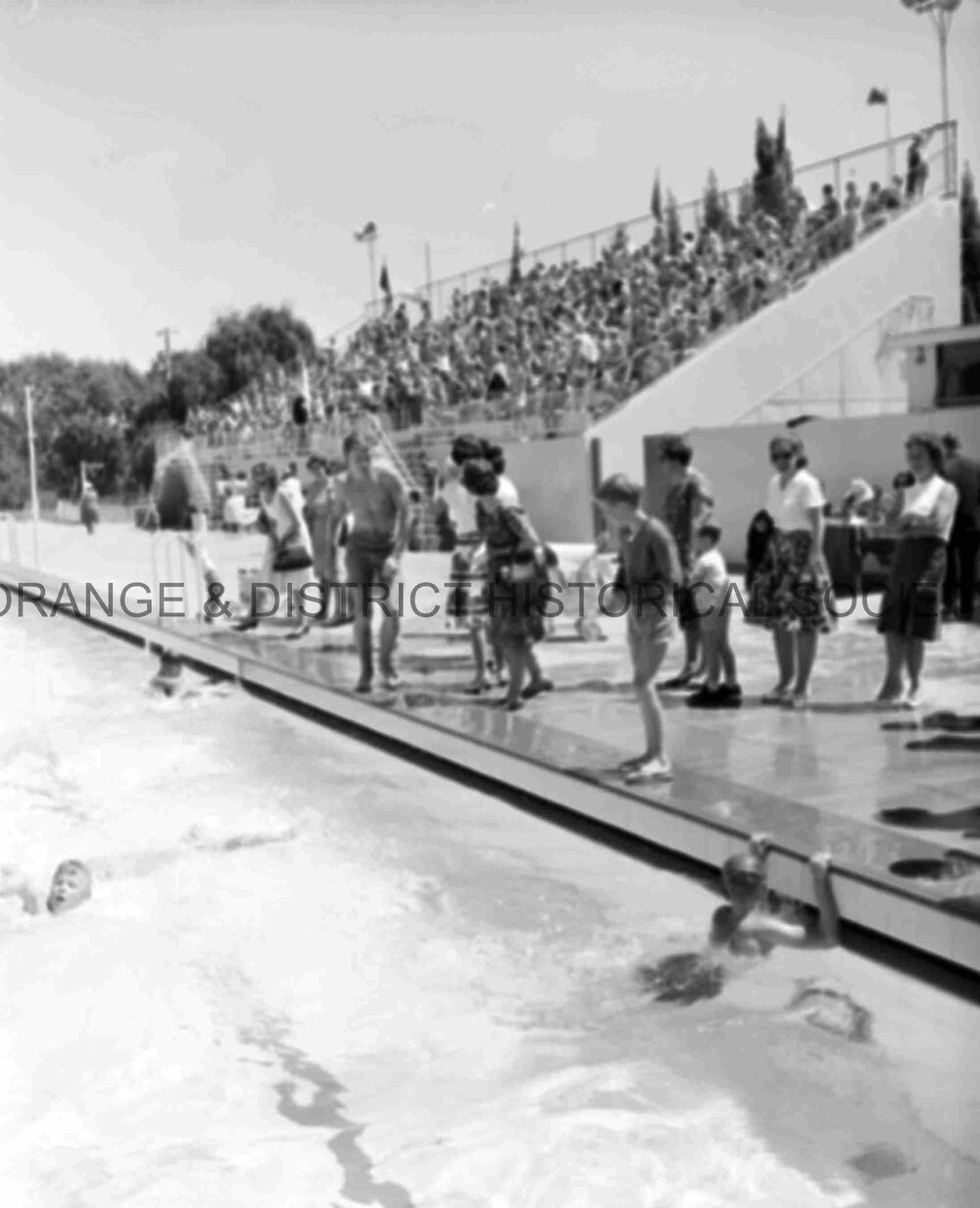 De La Salle swimming carnival