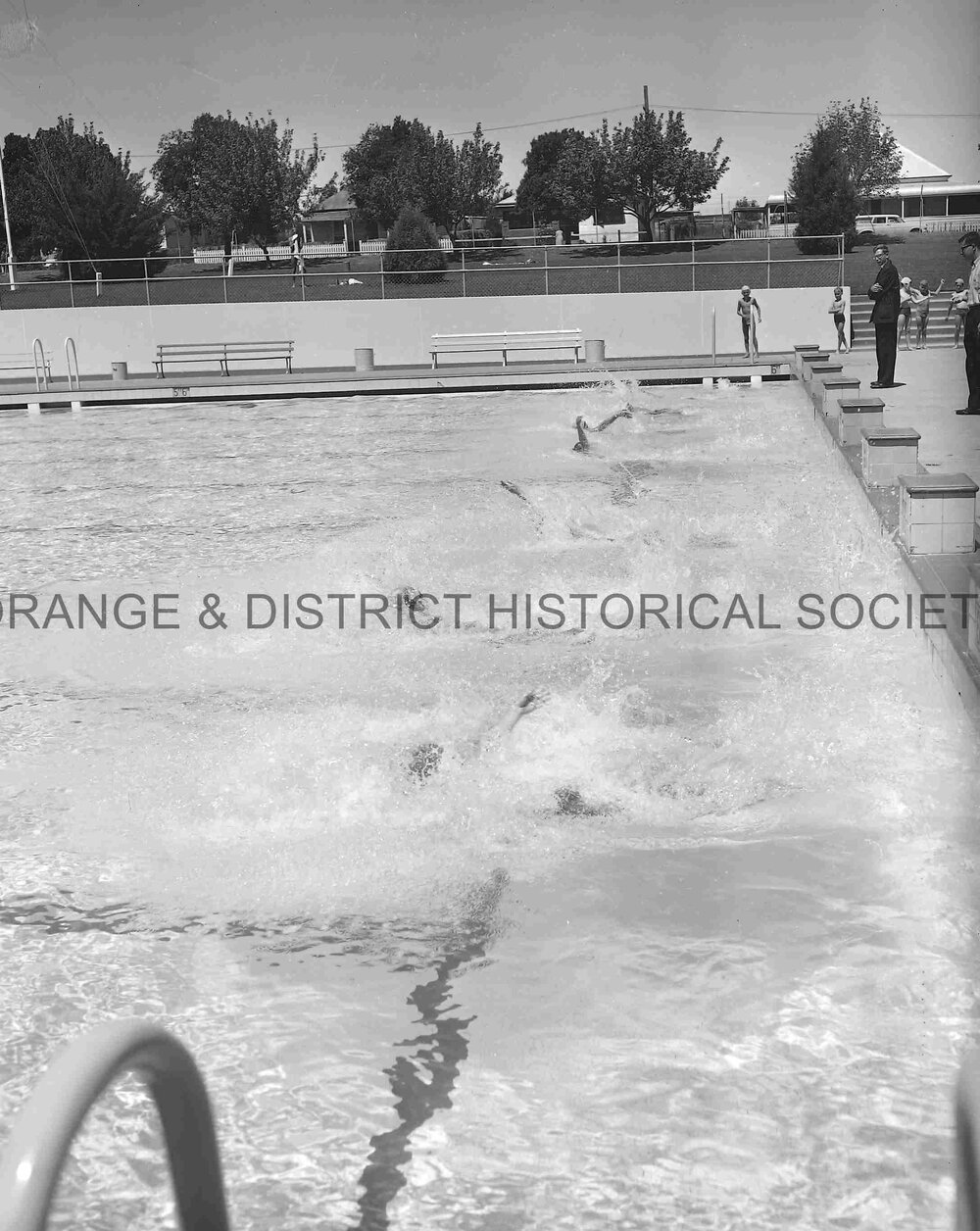 De La Salle swimming carnival