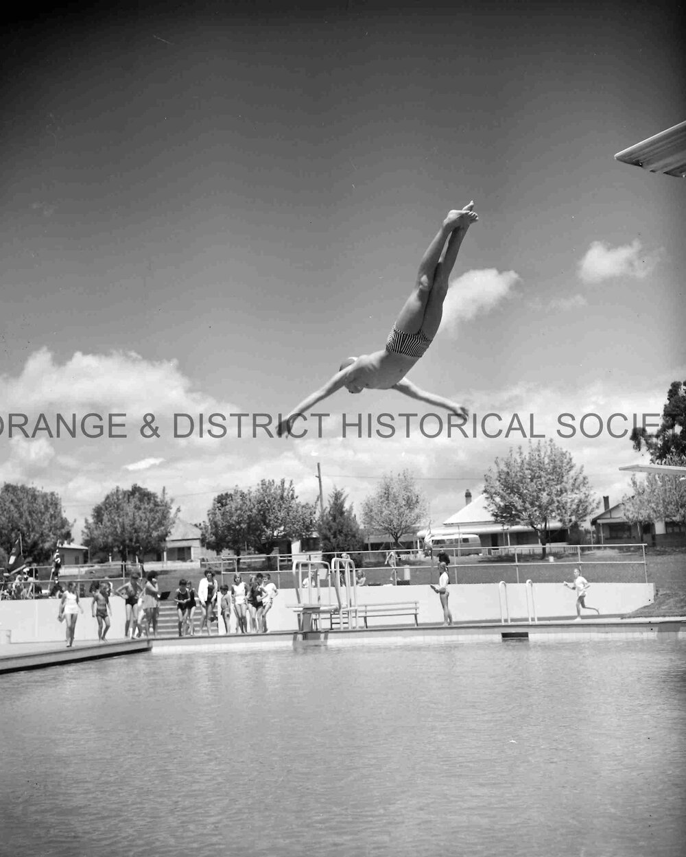 Combined schools swimming carnival