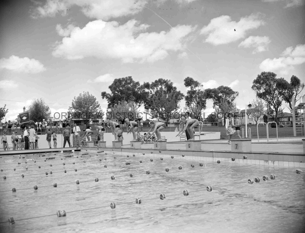 Combined schools swimming carnival