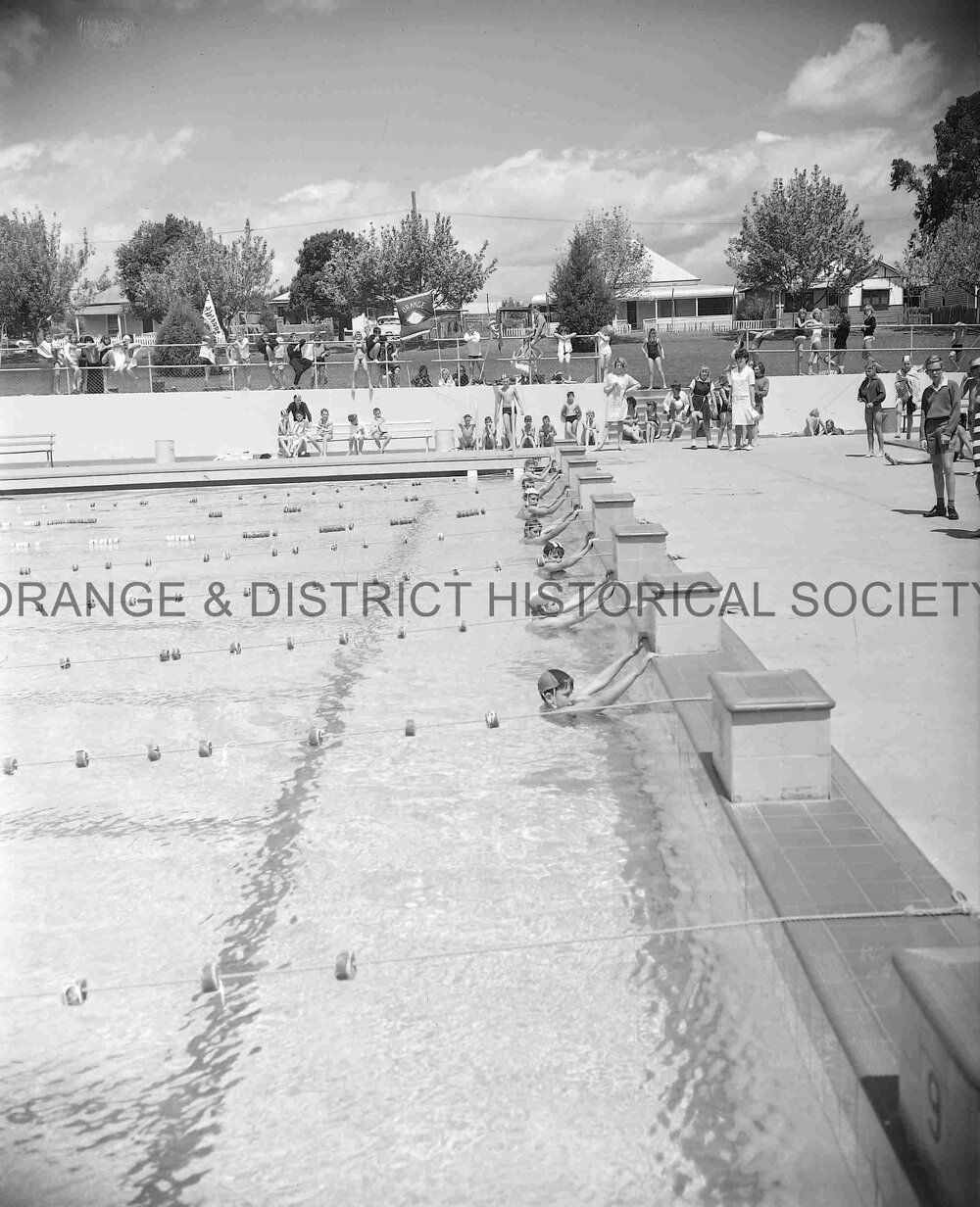 Combined schools swimming carnival