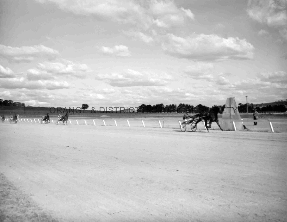Sapling Stakes