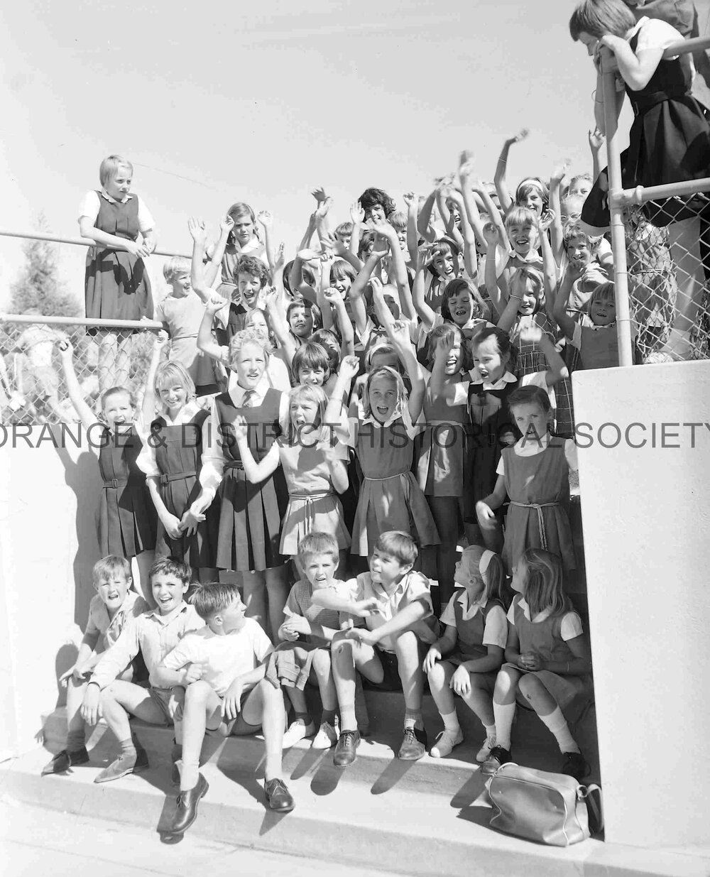 ODSAAA swimming carnival