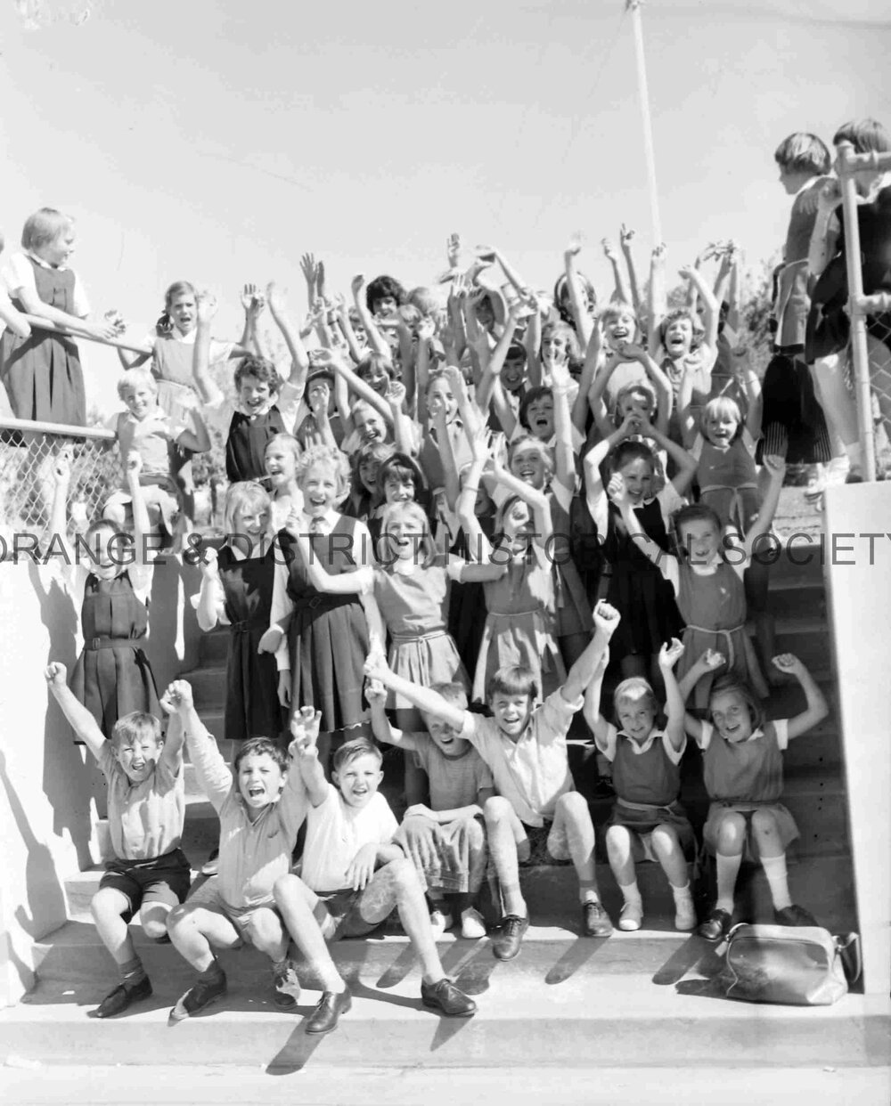 ODSAAA swimming carnival