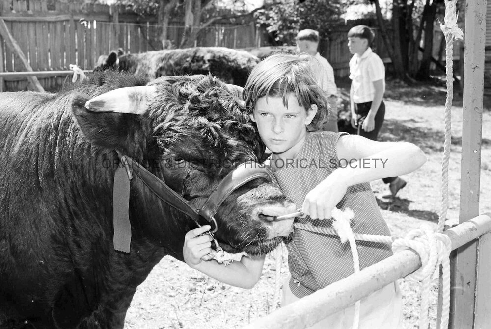 Blayney Show