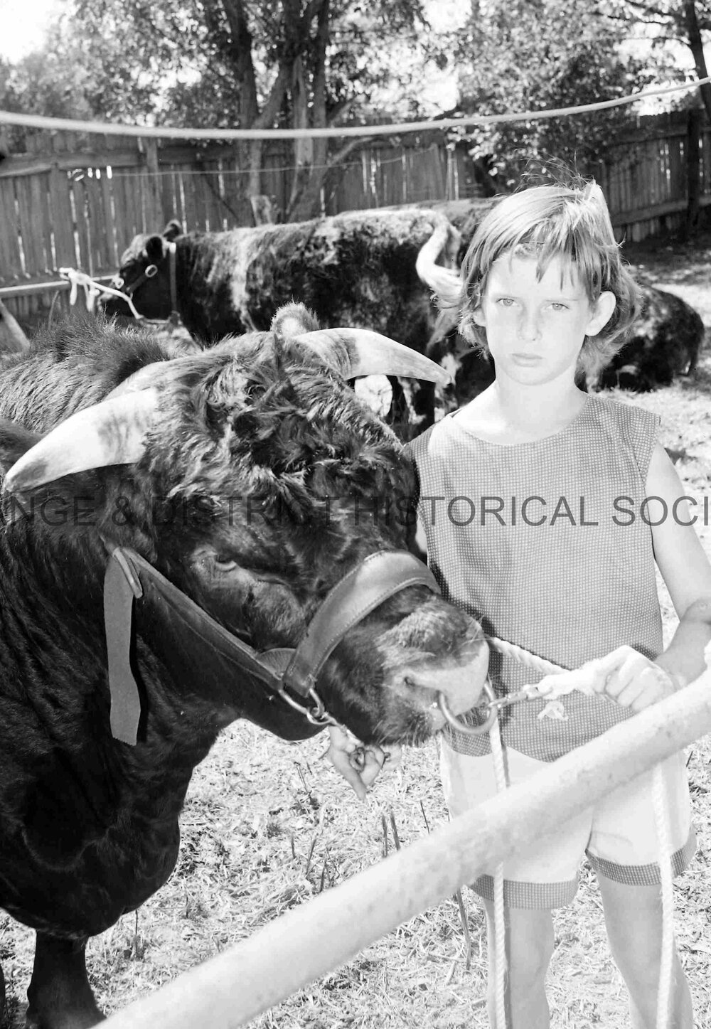 Blayney Show