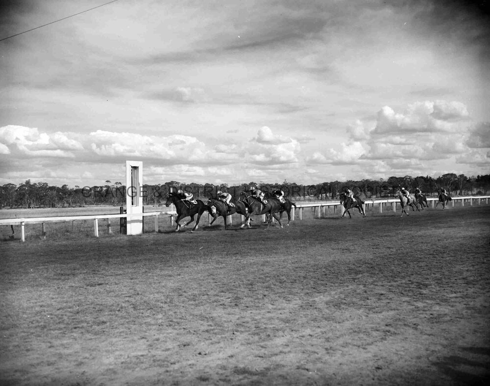 Orange Cup race finishes