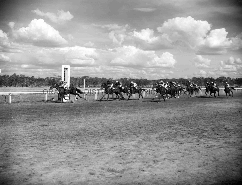 Orange Cup race finishes