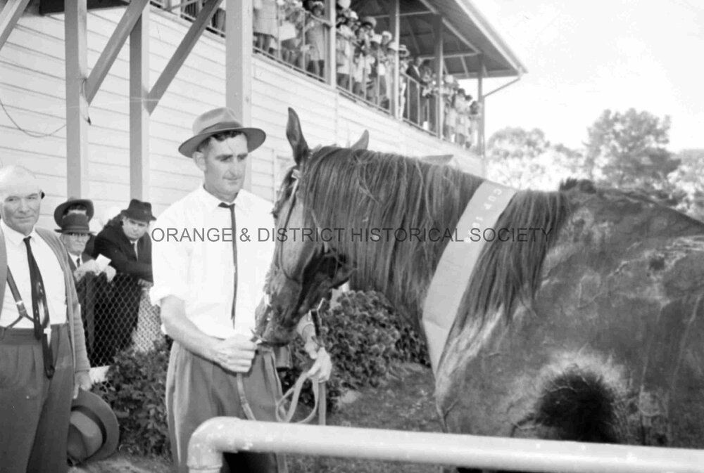 Orange Cup winner