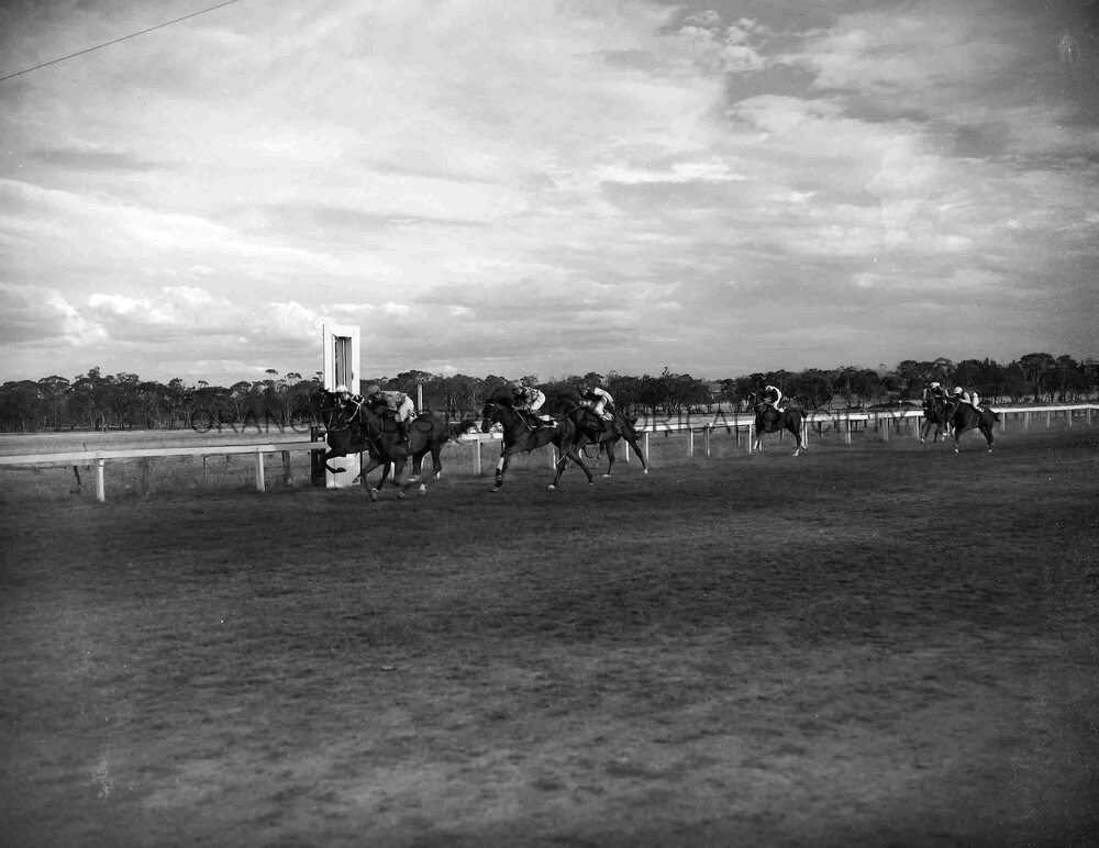 Orange Cup race finishes