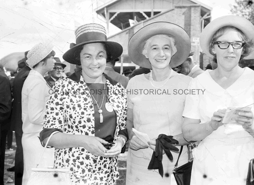 Orange Cup fashions