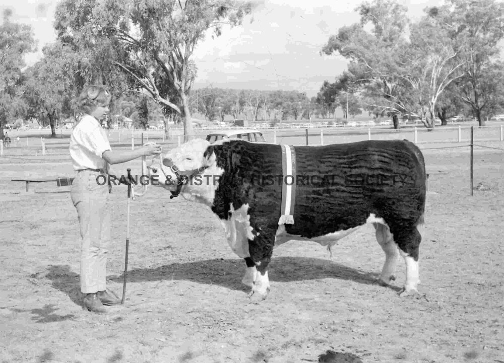 Cumnock Show