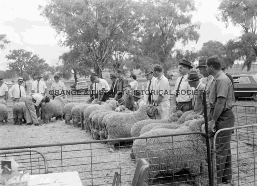 Cumnock Show