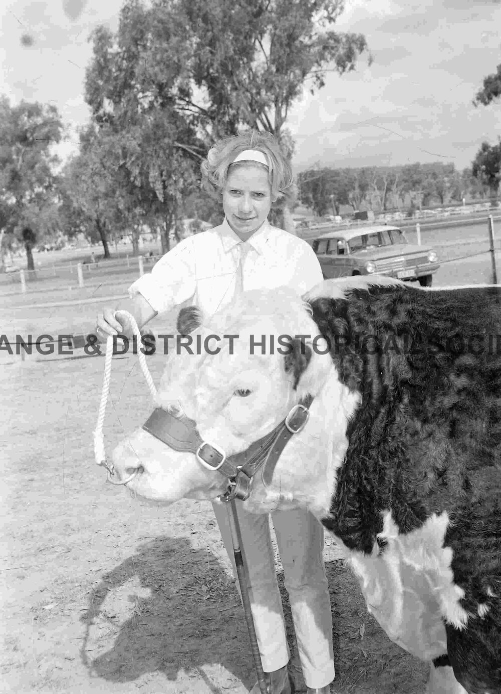 Cumnock Show