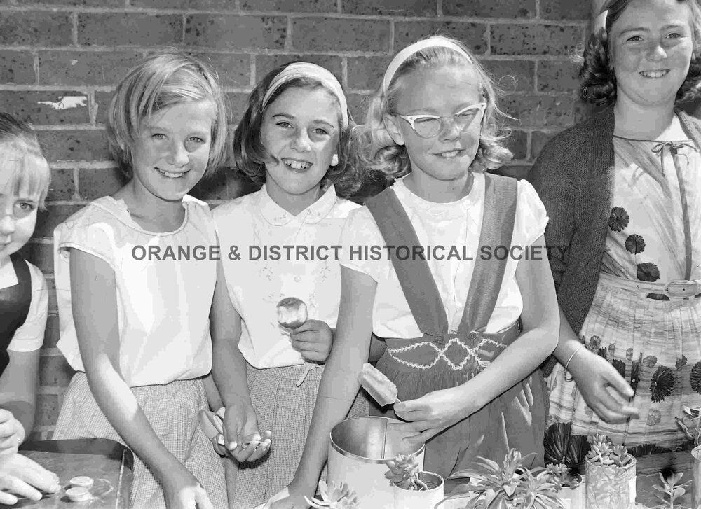 Orange Public School fete