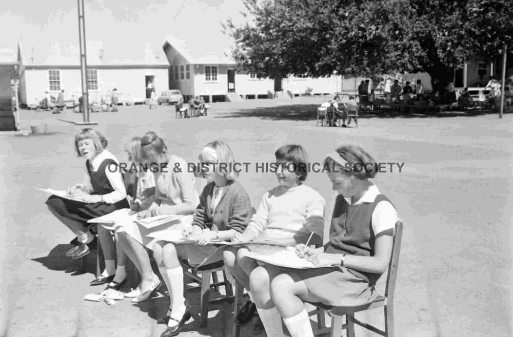 Orange Public School fete