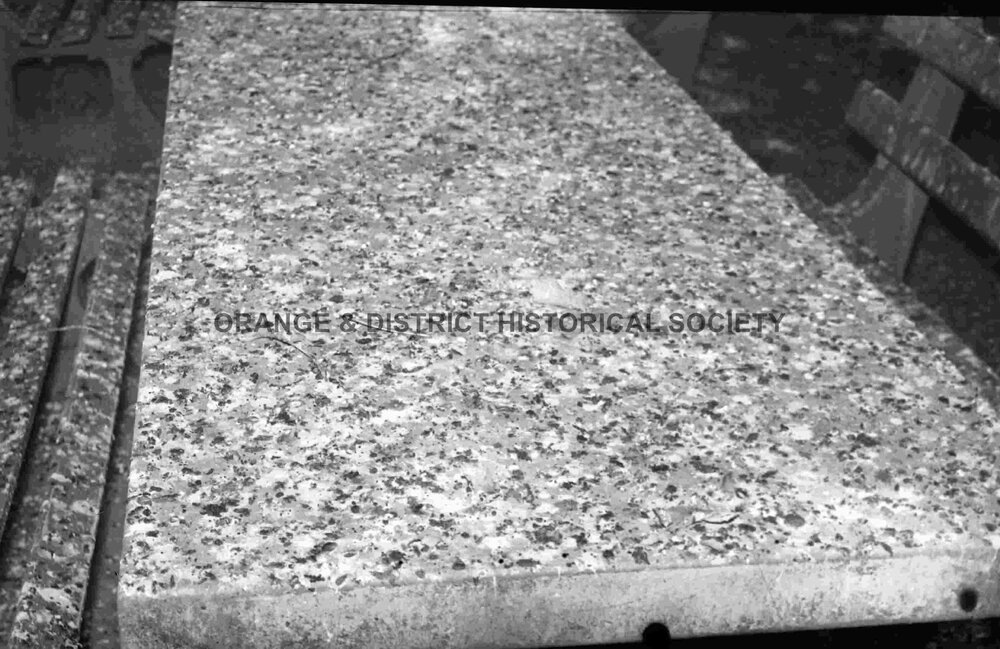 Starling droppings in Robertson Park