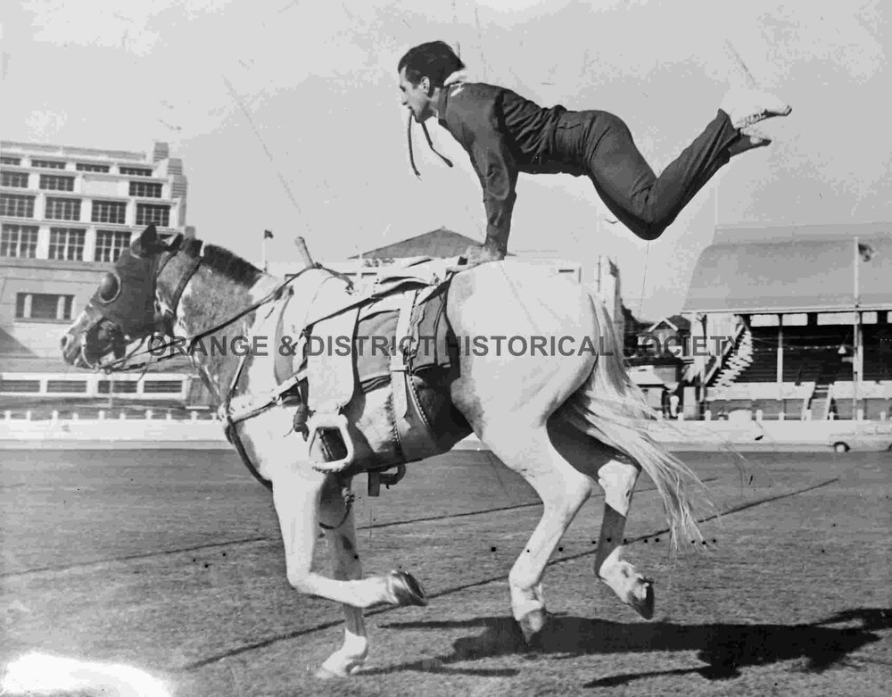 Copy equestrian acrobat