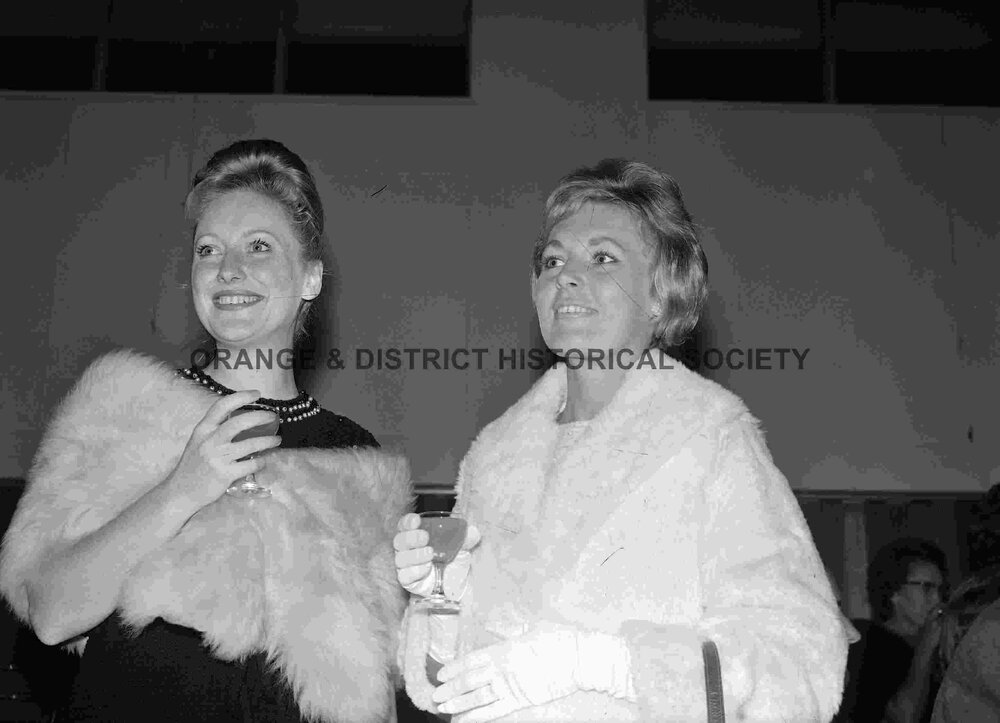 Wool Board fashion parade party