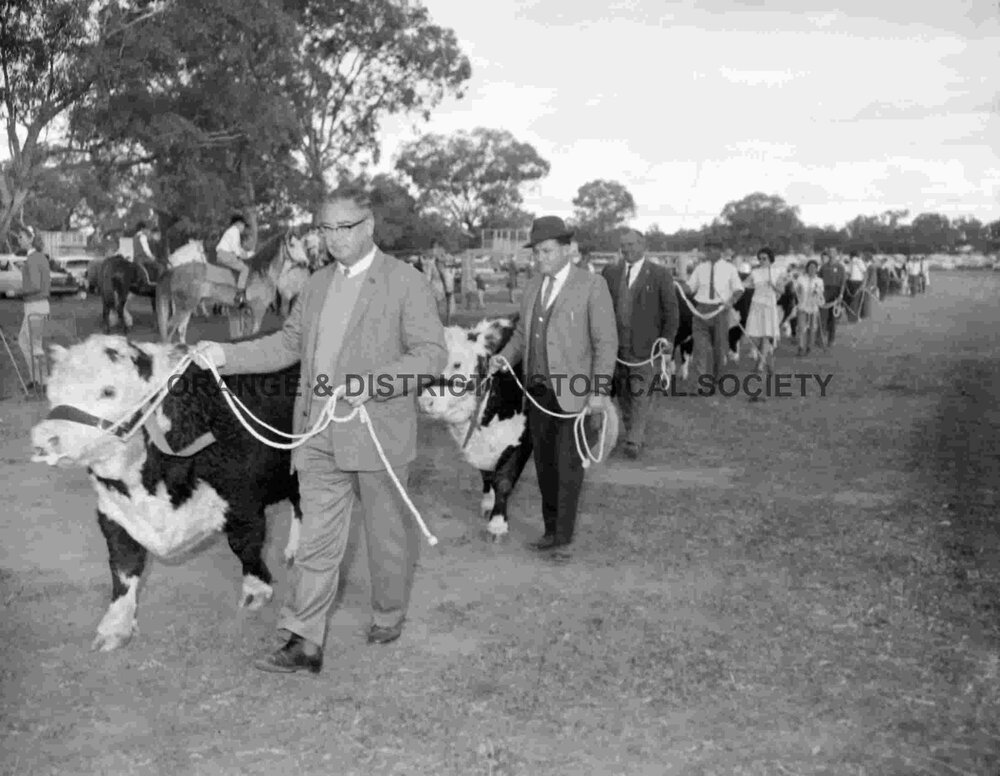 Yeoval Show