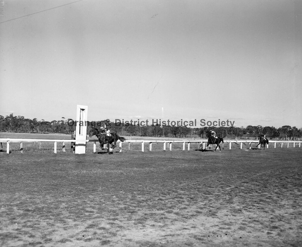 Horse racing at Orange