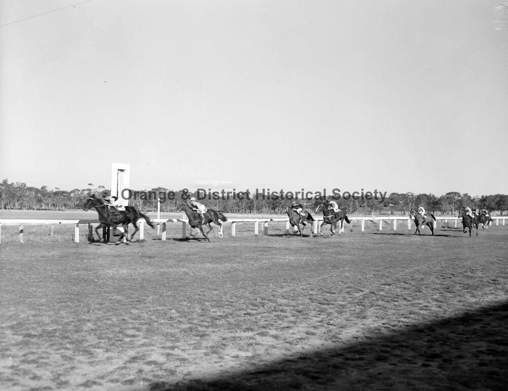Horse racing at Orange