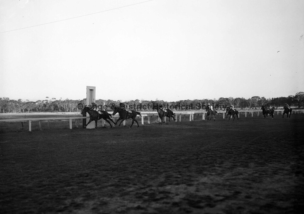 Horse racing at Orange