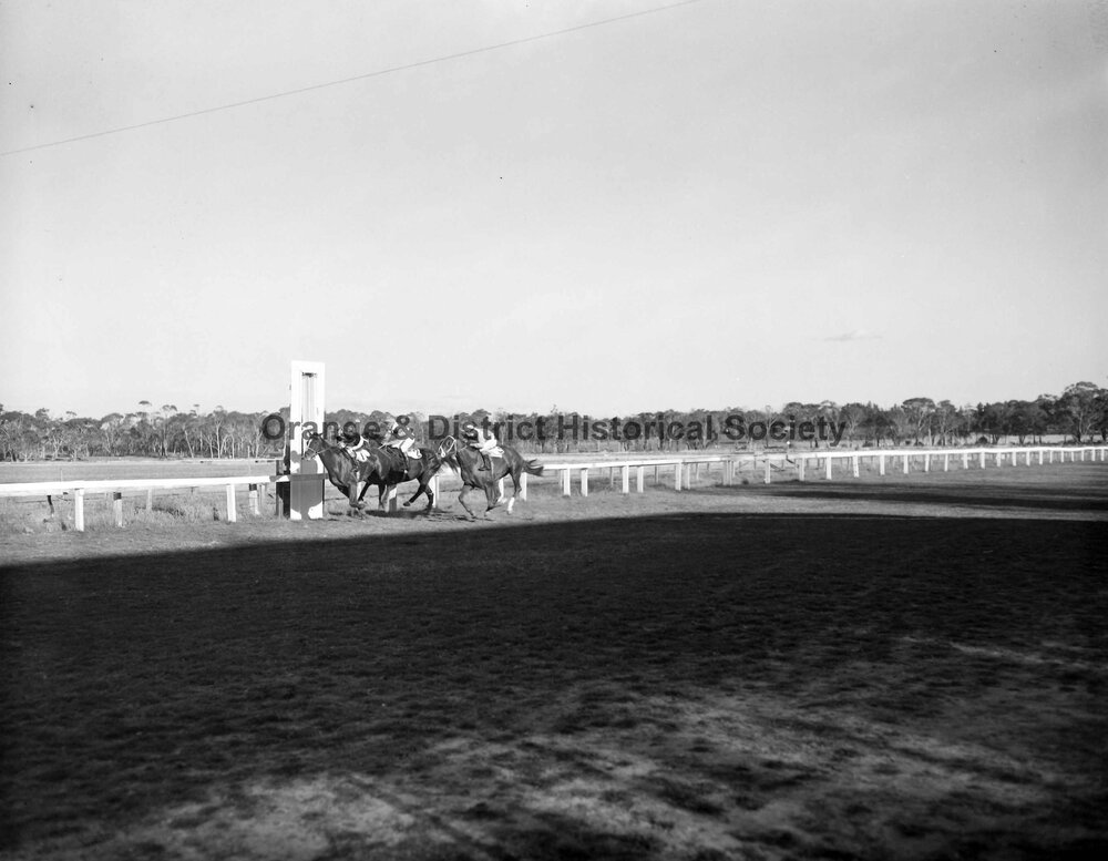 Horse racing at Orange