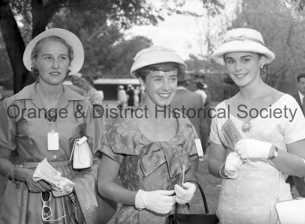 Orange Cup social scenes