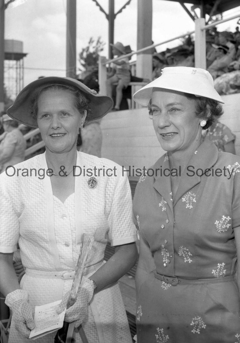 Orange Cup social scenes
